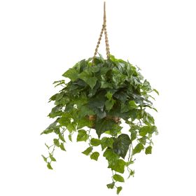 London Ivy Plant in Hanging Basket (Real Touch)