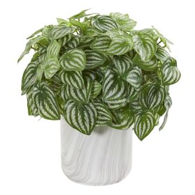 Peperomia Plant in Marble Finished Vase (Real Touch)