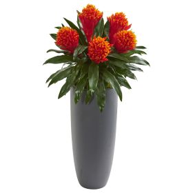 Bromeliad Artificial Plant in Gray Planter