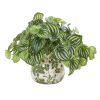 Watermelon Peperomia Artificial Plant in Vase(Real Touch)