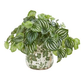 Watermelon Peperomia Artificial Plant in Vase(Real Touch)