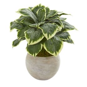 Variegated Hosta Artificial Plant in Sand Colo Red Bowl