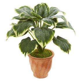 Variegated Hosta Artificial Plant in Terracotta Planter