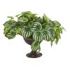 Peperomia Artificial Plant (Real Touch) (Set of 2)