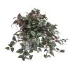 Wandering Jew Plant in Vintage Metal Hanging Planter