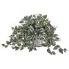 Wandering Jew Plant in Vintage Metal Hanging Planter