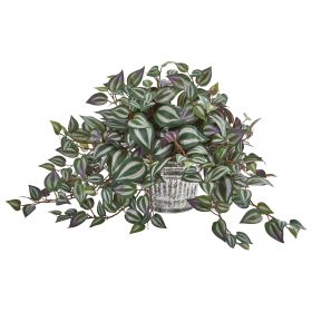 Wandering Jew Plant in Vintage Metal Hanging Planter
