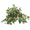 Florida Beauty Plant in Vintage Metal Hanging Planter