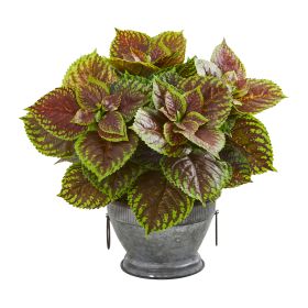 Coleus Artificial Plant in Metal Bowl (Real Touch)
