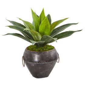 Agave Succulent Artificial Plant in Decorative Planter