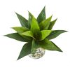 Agave Succulent Artificial Plant in Decorative Vase