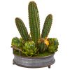 Cactus and Artichokes Garden Plant in Metal Planter