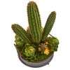 Cactus and Artichokes Garden Plant in Metal Planter