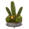 Cactus and Artichokes Garden Plant in Metal Planter