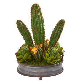 Cactus and Artichokes Garden Plant in Metal Planter