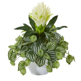 Bromeliad & Peperomia Artificial Plant in White Bowl