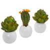 Artichoke & Cactus Artificial Plant in Planter (Set of 3)