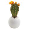 Artichoke & Cactus Artificial Plant in Planter (Set of 3)