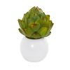 Artichoke & Cactus Artificial Plant in Planter (Set of 3)