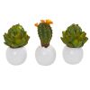 Artichoke & Cactus Artificial Plant in Planter (Set of 3)
