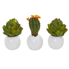 Artichoke & Cactus Artificial Plant in Planter (Set of 3)