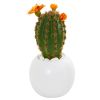Cactus Succulent Artificial Plant in Planter (Set of 3)