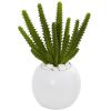 Cactus Succulent Artificial Plant in Planter (Set of 3)