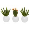Cactus Succulent Artificial Plant in Planter (Set of 3)