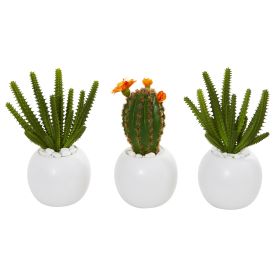 Cactus Succulent Artificial Plant in Planter (Set of 3)
