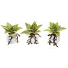 Dusty Succulent Artificial Plant in White Vase (Set of 3)
