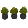 Artichoke Artificial Plant in Black Vase (Set of 3)