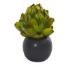 Artichoke Artificial Plant in Black Vase (Set of 3)