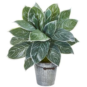 Silver Aglonema Artificial Plant in Bucket (Real Touch)