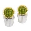 Cactus Artificial Plant in Decorative Planter (Set of 2)