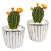 Flowering Cactus Artificial Plant in Planter (Set of 2)