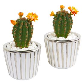 Flowering Cactus Artificial Plant in Planter (Set of 2)