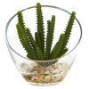 Mixed Succulent Artificial Plant in Glass Vase (Set of 3)