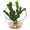 Mixed Succulent Artificial Plant in Glass Vase (Set of 3)