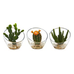 Mixed Succulent Artificial Plant in Glass Vase (Set of 3)