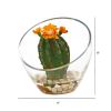 Flowering Cactus Artificial Plant in Vase (Set of 2)