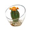 Flowering Cactus Artificial Plant in Vase (Set of 2)