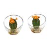 Flowering Cactus Artificial Plant in Vase (Set of 2)
