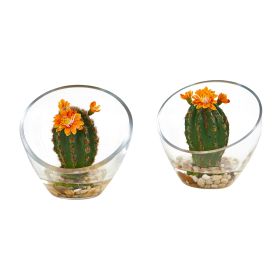 Flowering Cactus Artificial Plant in Vase (Set of 2)