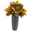 Croton Artificial Plant in Gray Planter (Real Touch)