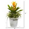 Bromeliad and Succulent Artificial Plant in Metal Bucket