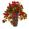 Bougainvillea Plant UV Resistant (Indoor/Outdoor)