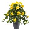 Hibiscus Artificial Plant in Gray Planter