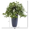 Florida Beauty Artificial Plant in Gray Planter