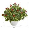 Variegated Holly Leaf Plant in White Vase (Real Touch)