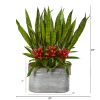 Bromeliad and Sansevieria Plant in Metal Planter